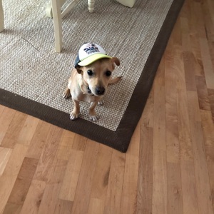 Fundraising Page: Abby Flagg